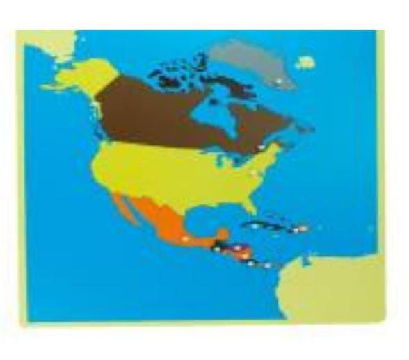 بازل قارة أمريكا الجنوبية